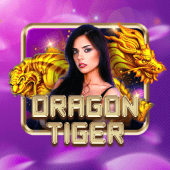 Dragon Tiger on Luckyking live casino